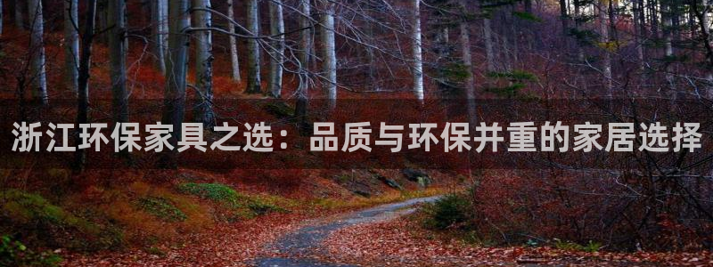 杏宇登陆电脑线路测速：浙江环保家具之选：品质与环保并重的家居