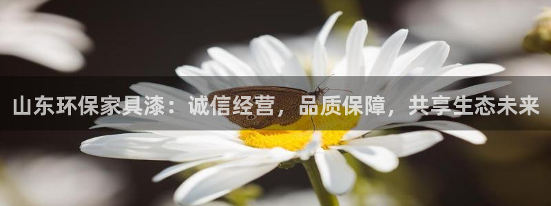 杏宇登入测速