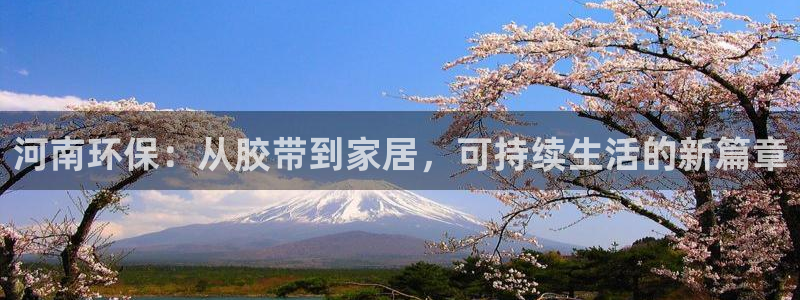 杏宇平台怎么样