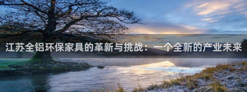 杏宇平台登录首页：江苏全铝环保家具的革新与挑战：一个全新的产