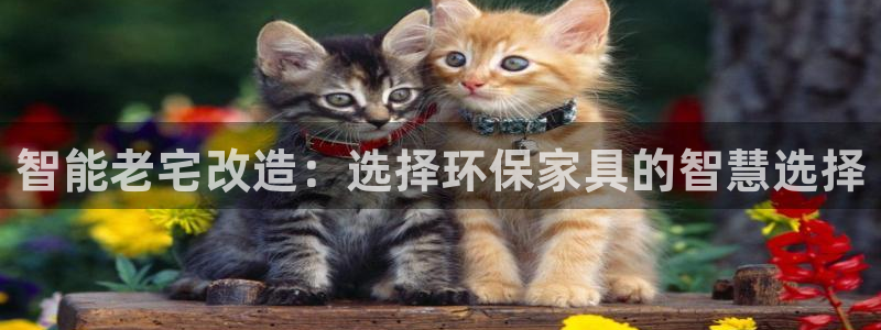 杏宇代理主管qq