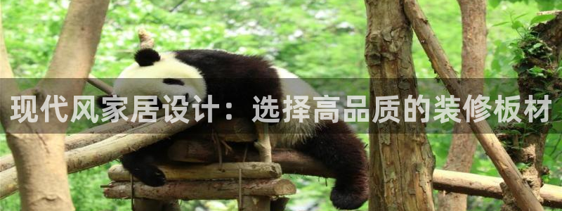 杏宇平台线路测速登录