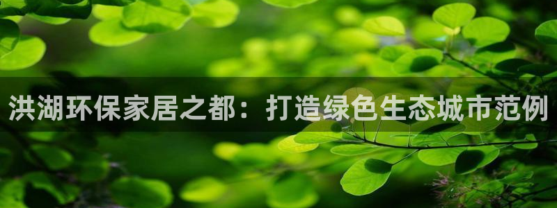杏宇平台登陆官网：洪湖环保家居之都：打造绿色生态城市范例