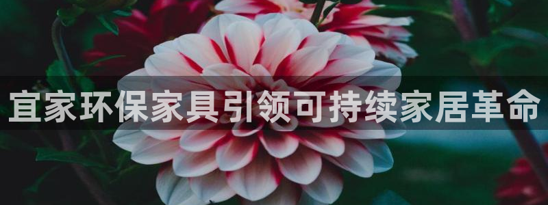 杏宇平台登录地址：宜家环保家具引领可持续家居革命