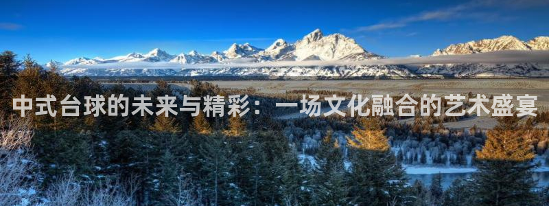 熊猫体育在线直播app：中式台球的未来与精彩：一场文化融合的艺术盛宴