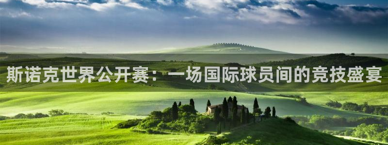 熊猫体育app下载：斯诺克世界公开赛：一场国际球员间的竞技盛宴