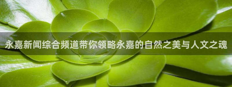 直播平台 熊猫：永嘉新闻综合频道带你领略永嘉的自然之美与人文之魂