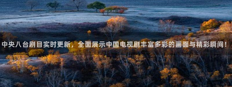 下载熊猫体育直播：中央八台剧目实时更新，全面展示中国电视剧丰富多彩的画面与精彩瞬间！