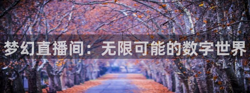熊猫健身：梦幻直播间：无限可能的数字世界