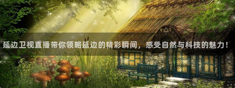 熊猫体育在线观看：延边卫视直播带你领略延边的精彩瞬间，感受自然与科技的魅力！