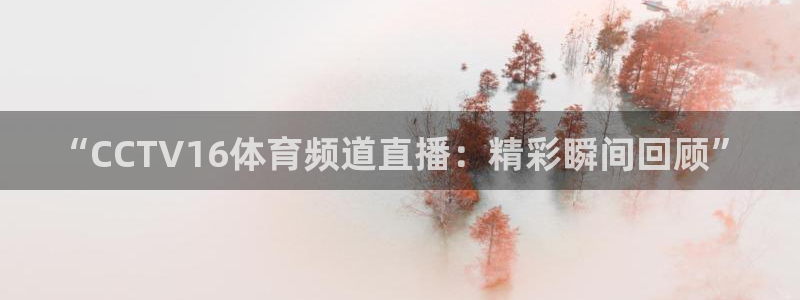 熊猫直播app下载：“CCTV16体育频道直播：精彩瞬间回顾”