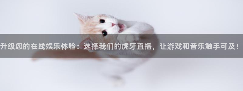 熊猫直播免费视频：升级您的在线娱乐体验：选择我们的虎牙直播，让游戏和音乐触手可及！