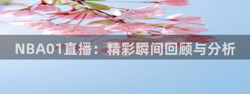 熊猫体育直播平台：NBA01直播：精彩瞬间回顾与分析