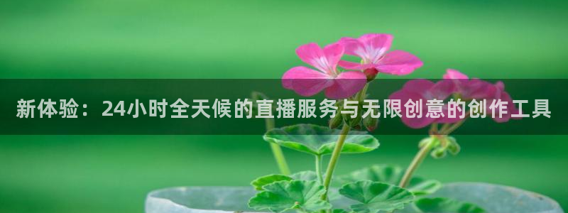 熊猫体育在线观看：新体验：24小时全天候的直播服务与无限创意的创作工具