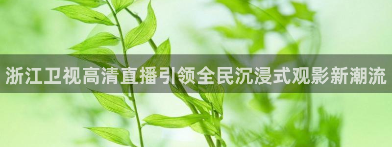 熊猫体育直播nba：浙江卫视高清直播引领全民沉浸式观影新潮流
